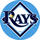 Tampa Bay Rays logo